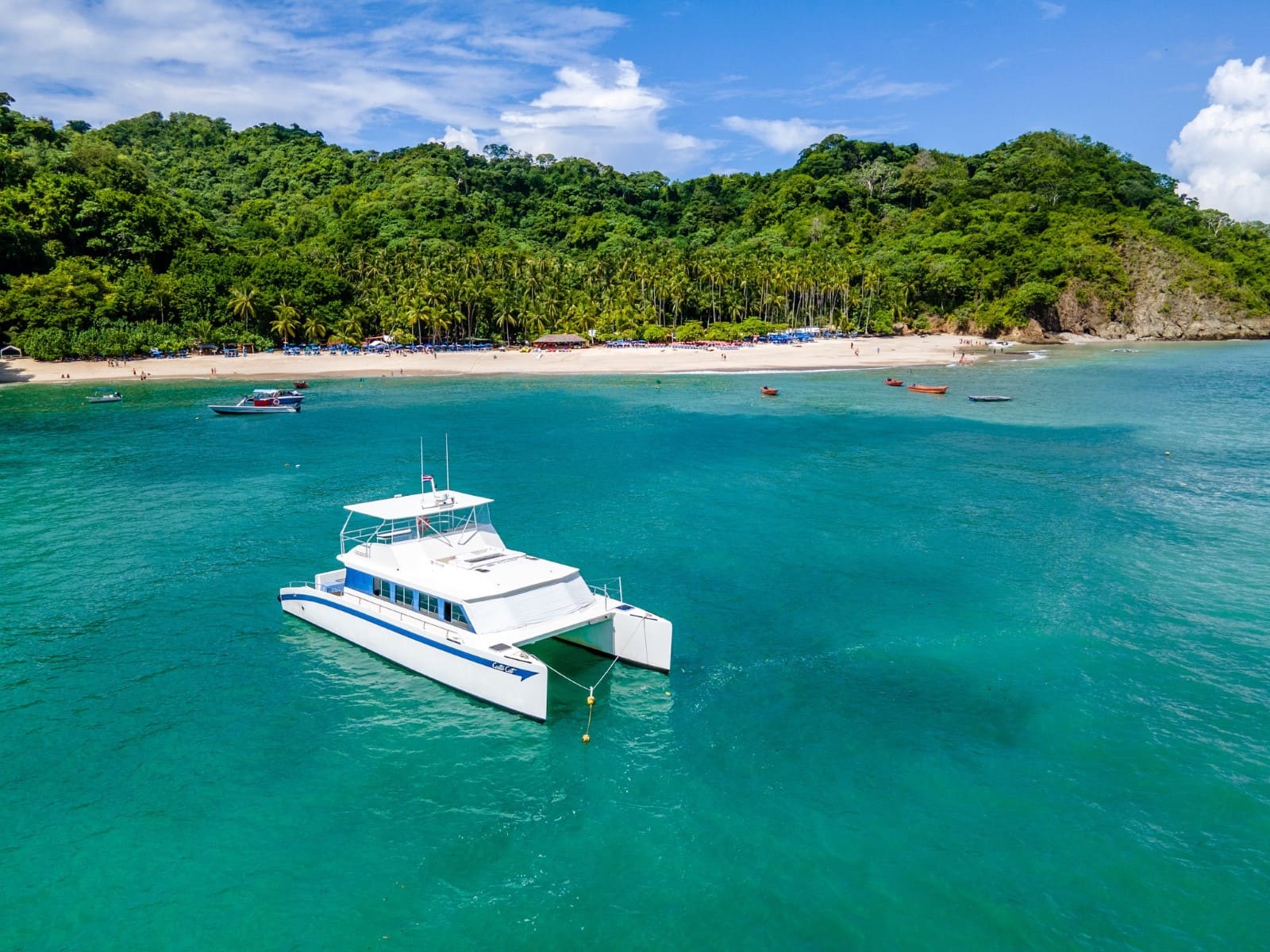 Ocean Tours