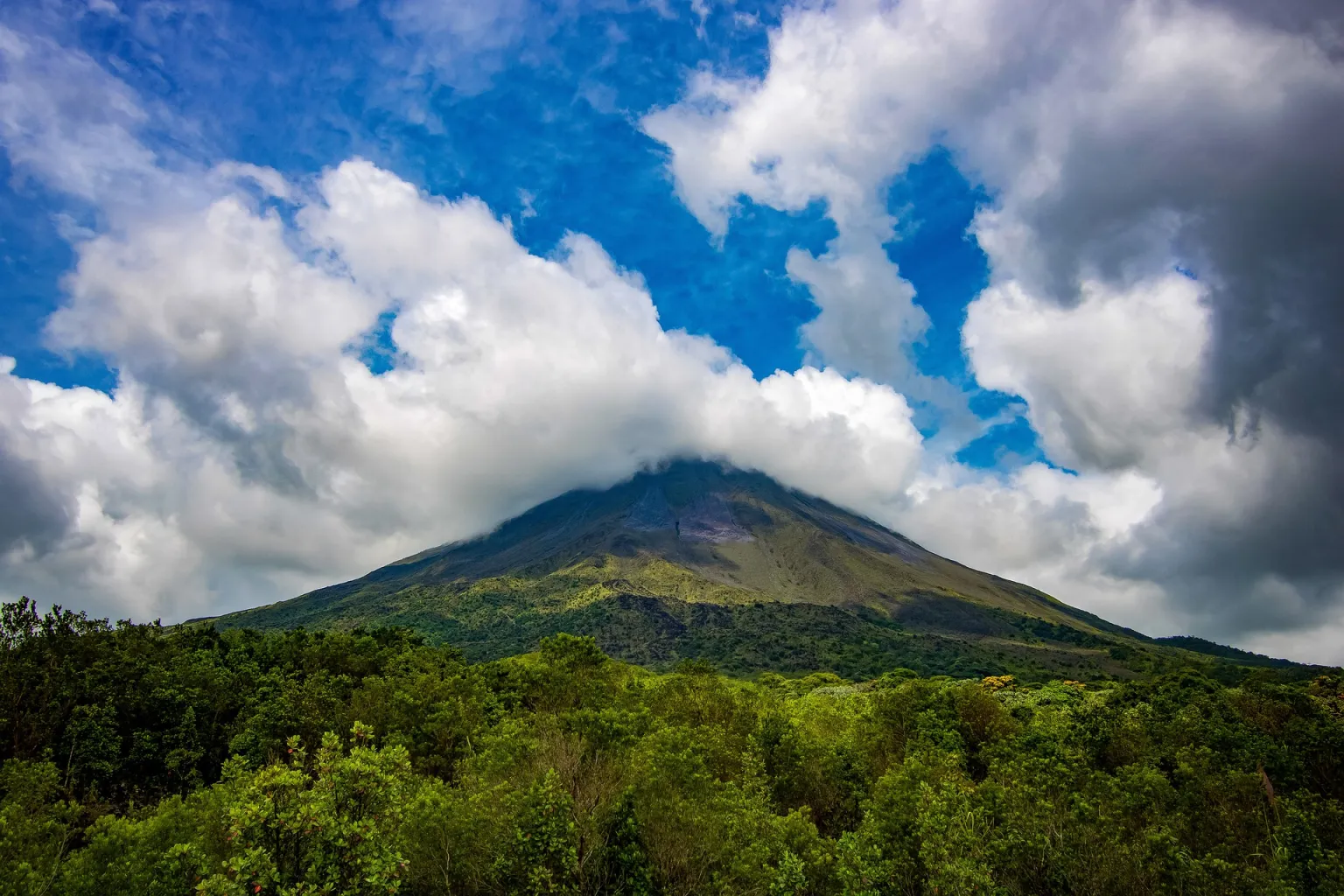 Rainforest Expeditions