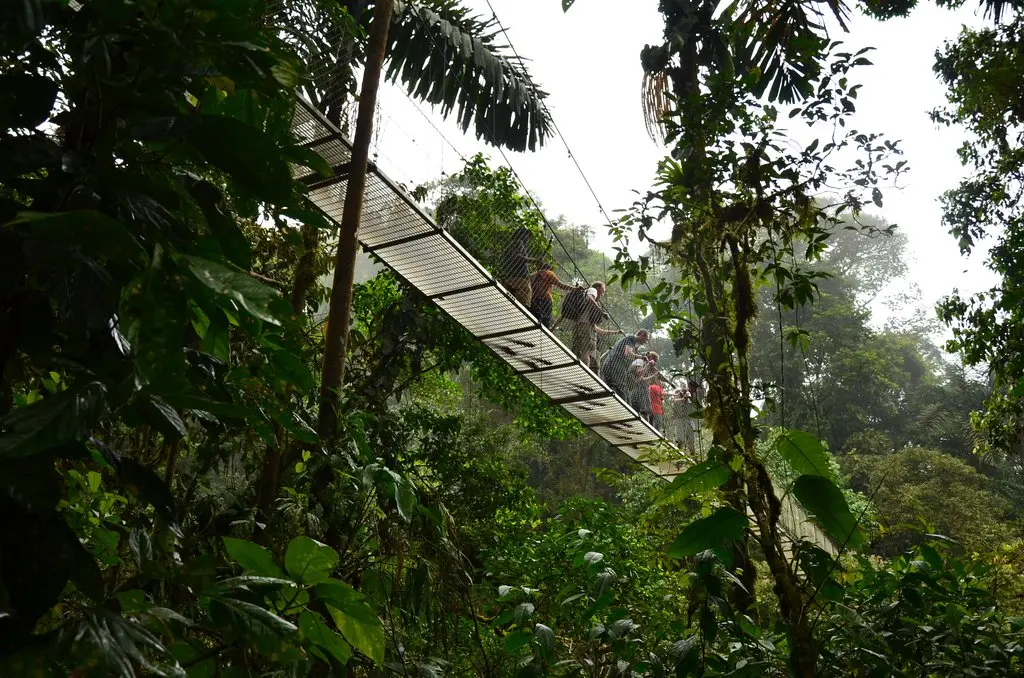 Hanging Bridges Adventure & La Fortuna Waterfall Experience
