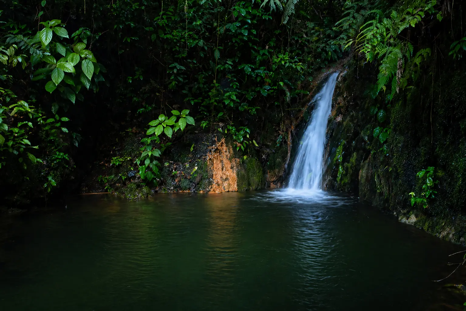 Sensoria Hot Springs & Waterfalls